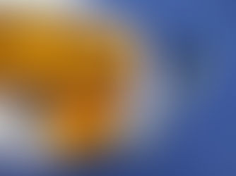 Recette de gâteau à l’orange