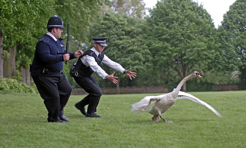 Somerset cool blog, Hot Fuzz Walking Tour