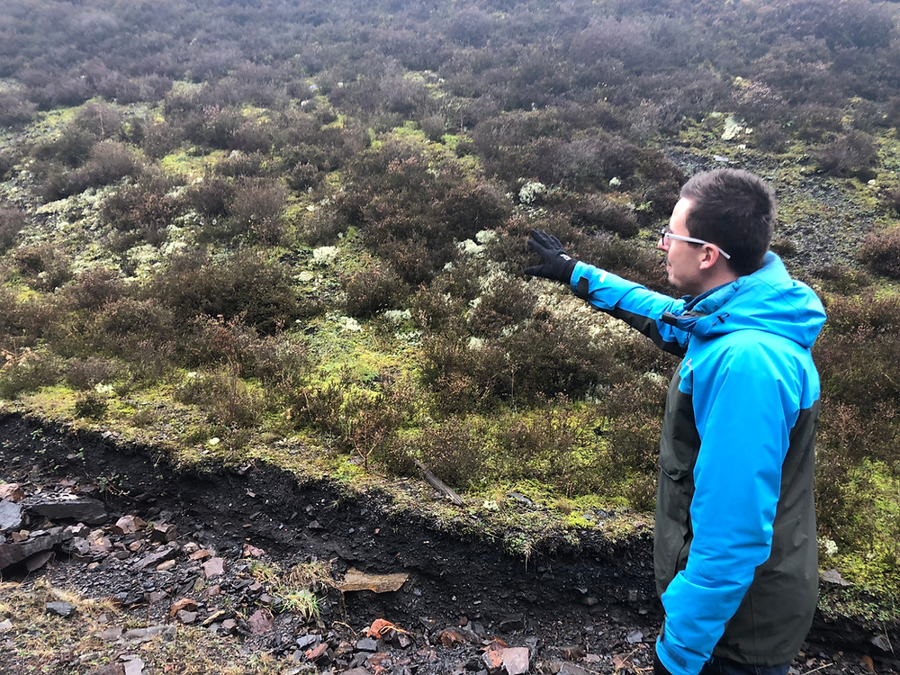 Somerset cool, coal tips, coal spoils, fifty bees, fifty bees the interconnectedness of all things, Somerset blogger, liam olds,
