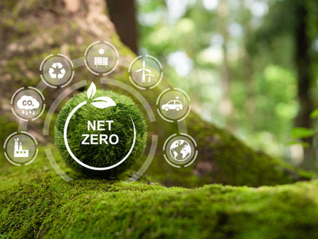 Net zero for your business 