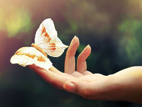 The Paradox of Confidence and Vulnerability