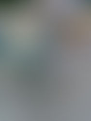 Dots on the Name Tents