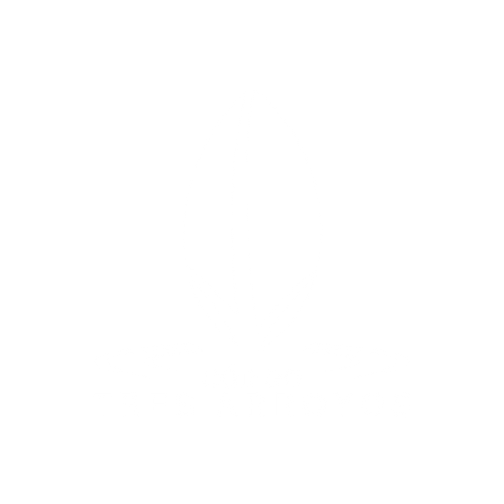 logo codigo tres arooyos entregar_Mesa de trabajo 1 copia 2 (3).png