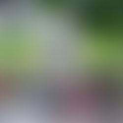 St. Anne’s Well Buxton – historic Roman spring and healing water site