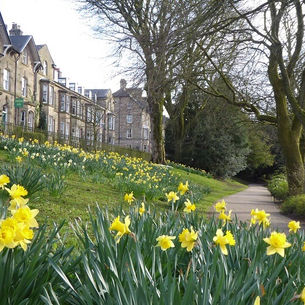 Pavilion Gardens in springtime Buxton