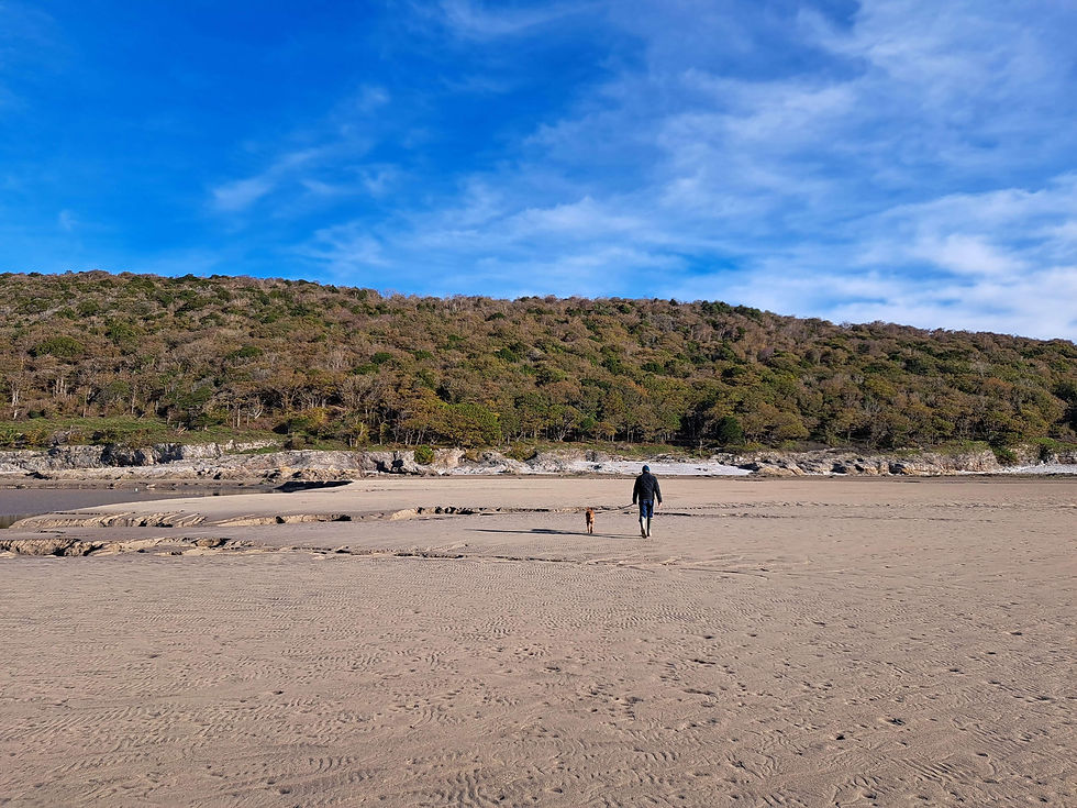 image silverdale 3 (1).jpg