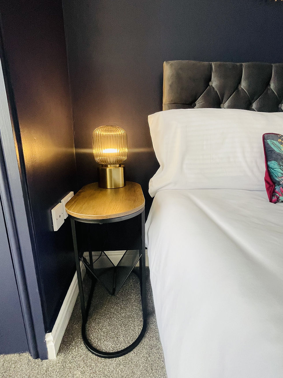 The Tiger Bedroom with Dark Navy walls.