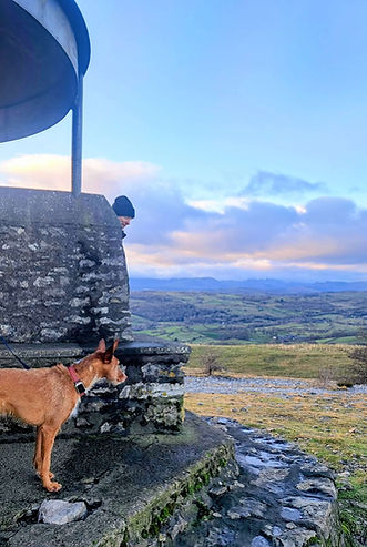 View from the Mushroom on Scout Scar