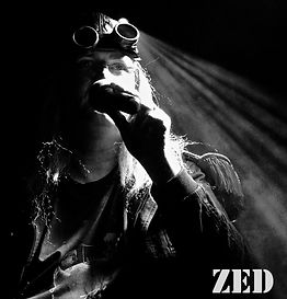 Affiche ZED 2019 copie.jpeg
