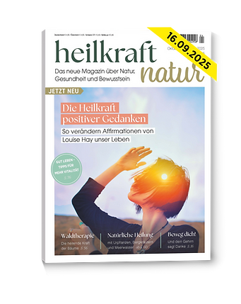 Titelblatt_3D_erscheinung.png