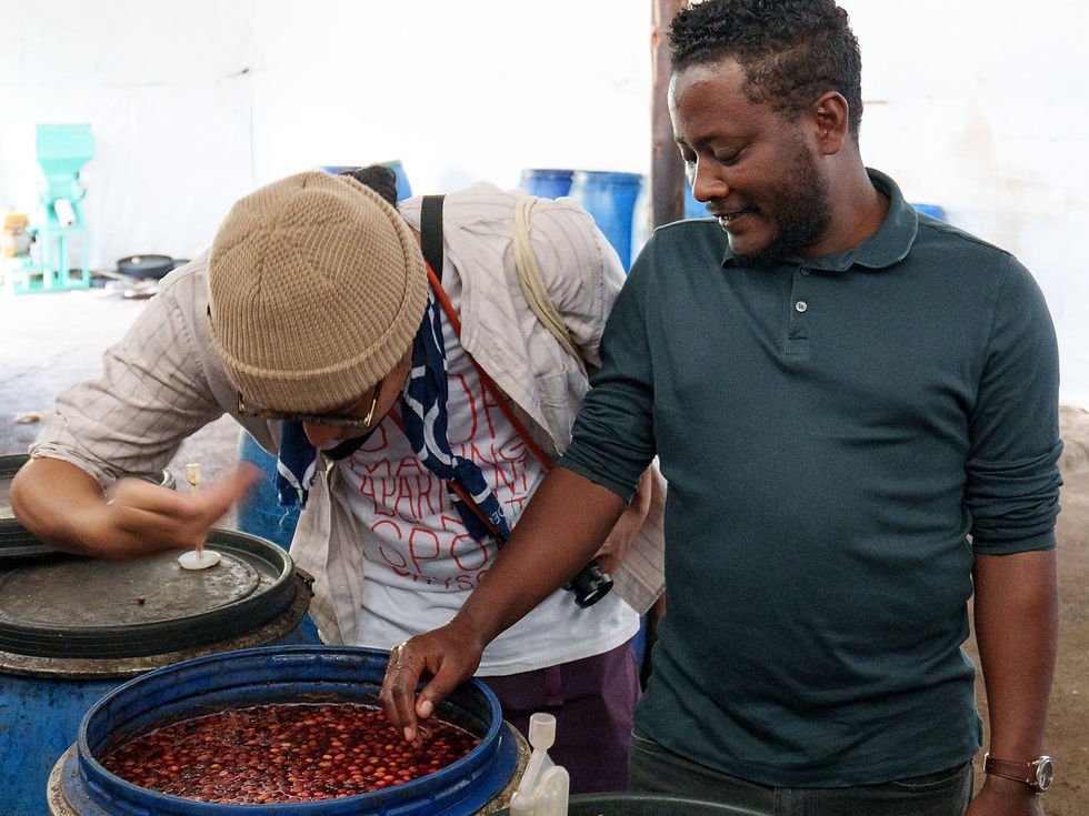 ALO COFFEEのメインステーションでアナエロビック