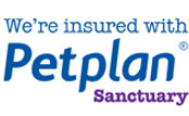 Business Insurance