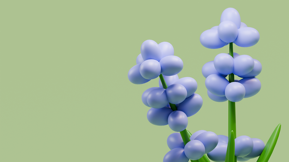 Lavender flower 1