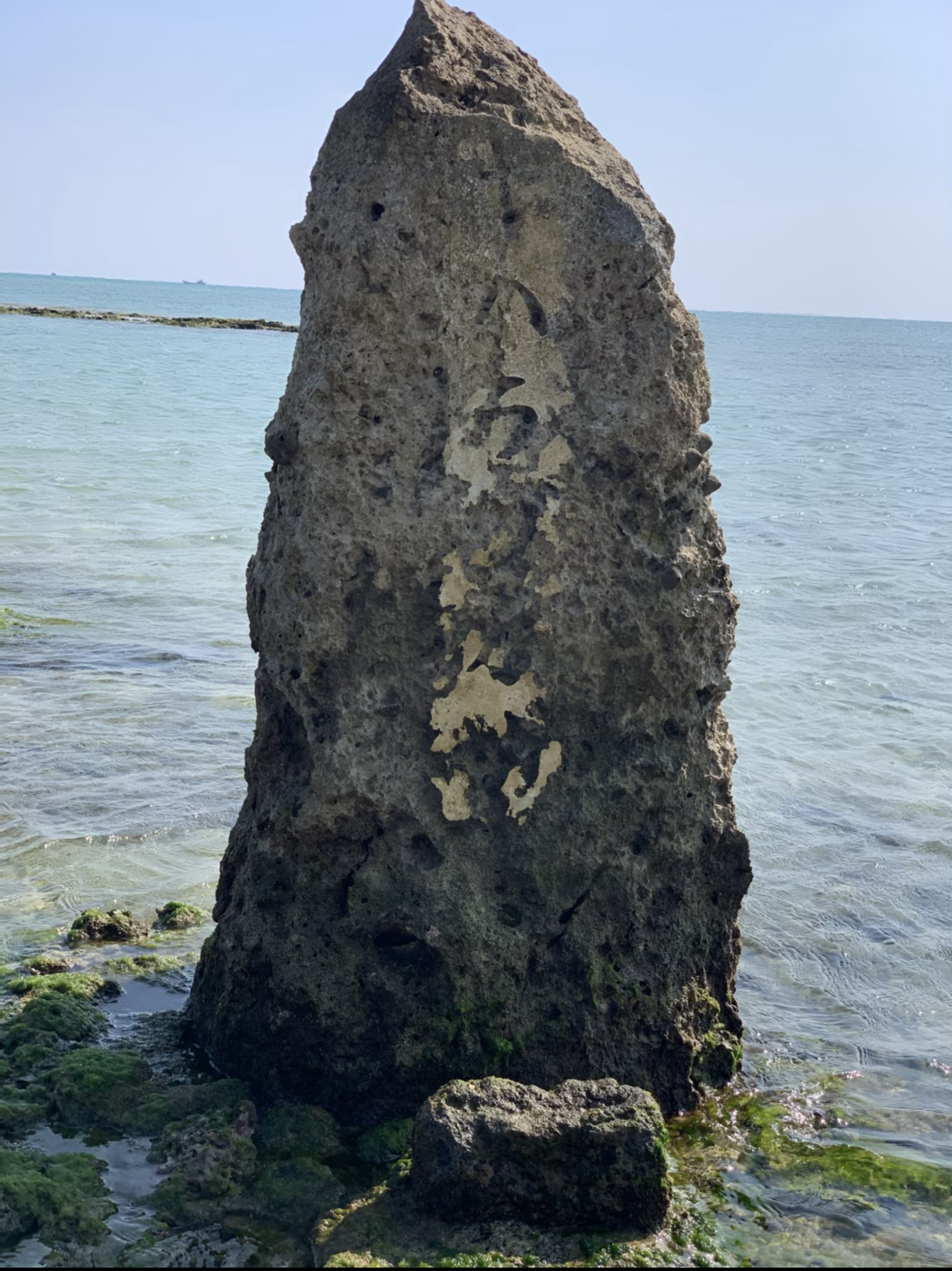 執筆者の写真: 　