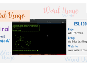 WordUsage Terminal
