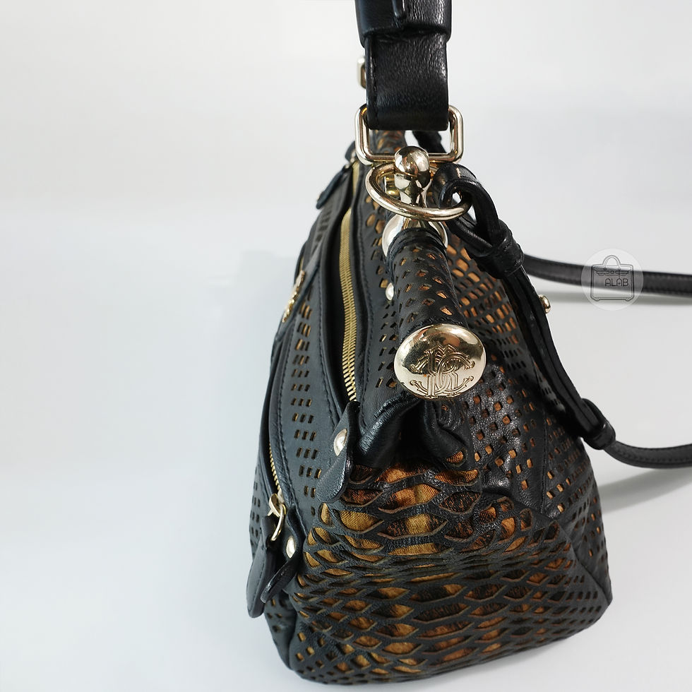 Thumbnail: Roberto Cavalli Leather Da Báo