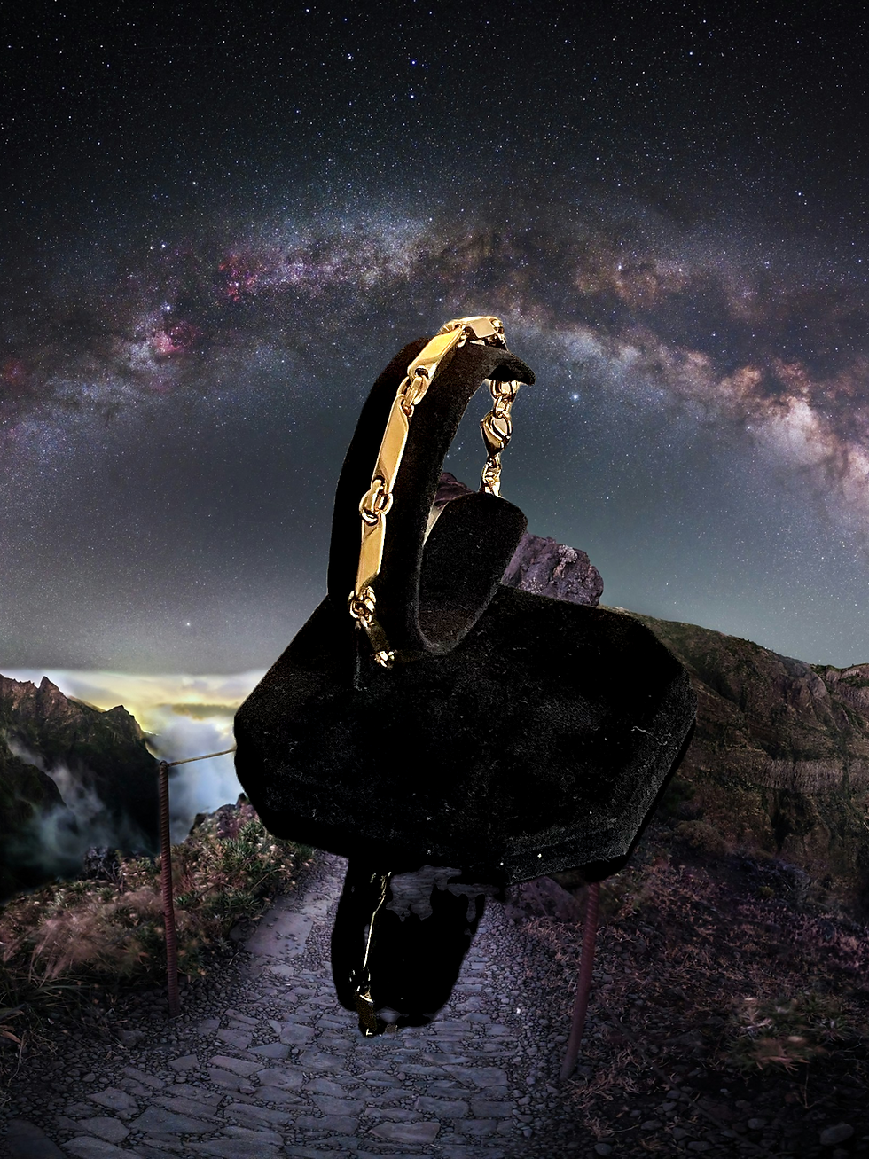 Discover a world of sophistication with this gold PVD stainless steel bracelet.
Enter a world of dynamic style and mystical beauty with the elegance of golden fusion.
