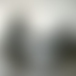 The Question by June Trop