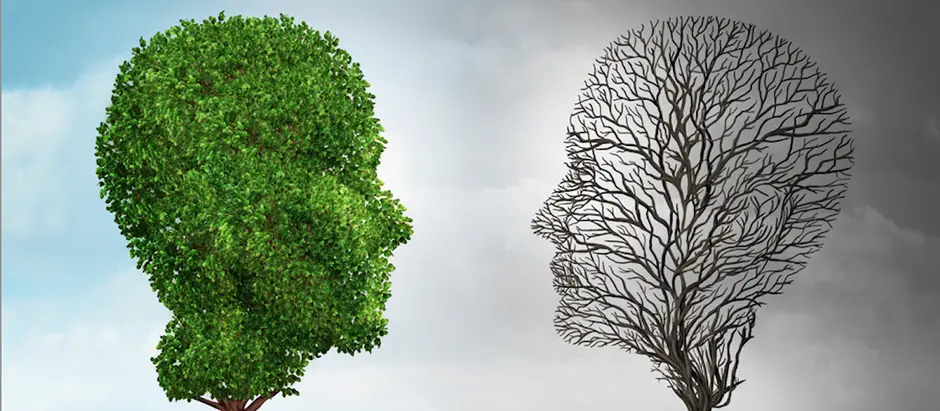 Recording | Postoperative Delirium and the Acceleration of Brain Aging: Can We Stop the Snowball? | Annual Donald and Barbara Zucker Healthy Aging Lecture