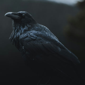 The Song Snatcher by Leigh-Ann Burley