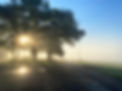 Sonnenstrahl durch Bäume auf Feldweg Westerwald