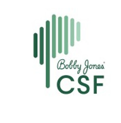chiari_and_syringomyelia_foundation_logo.jpg