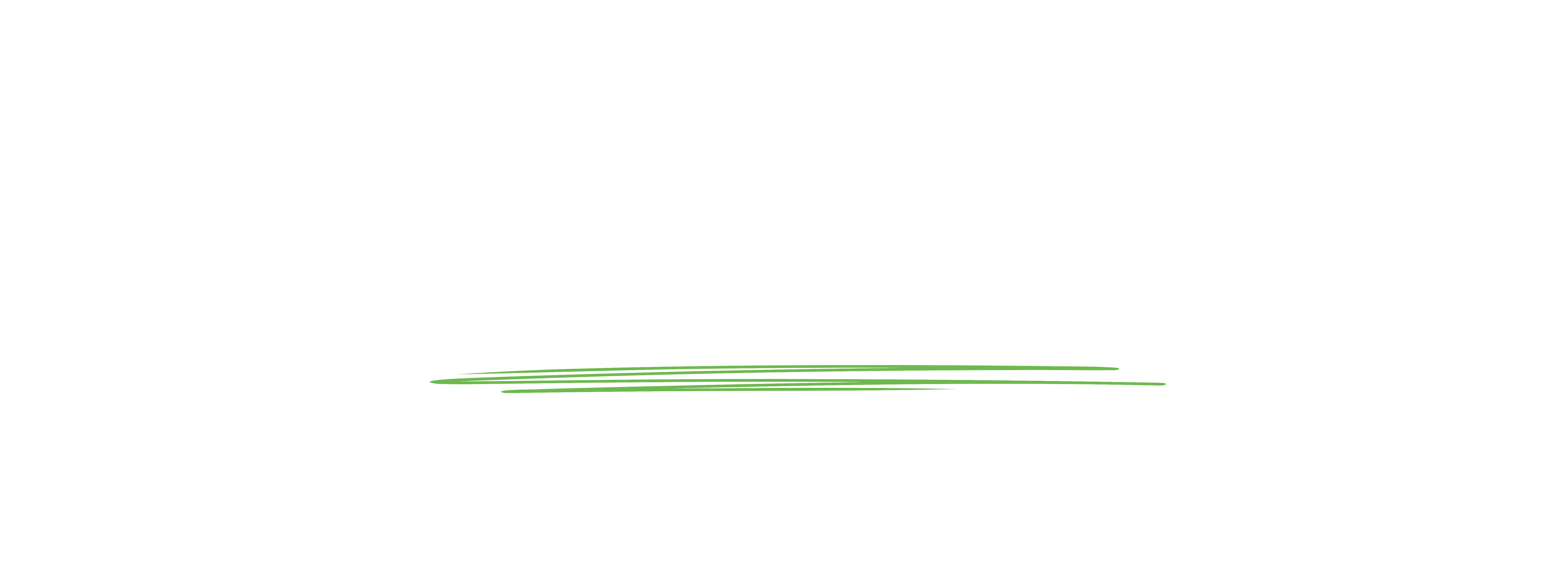 A New Design (4)-33.png