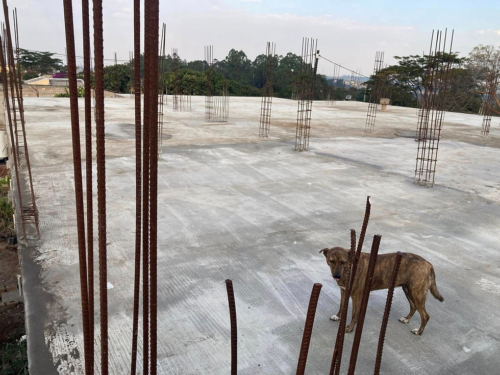 Dixie is on Quality Control Duty 