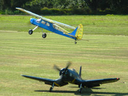 DSCN4585_cropped