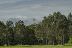 38 Dan_s legacy biplane 07-06-2026
