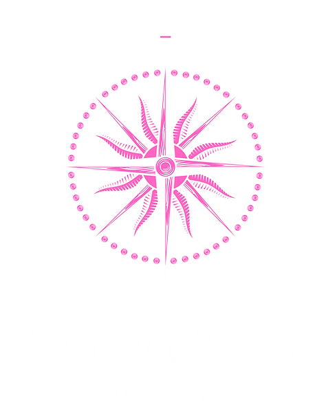 Copy of SEA CARAÏBES (3500 x 3500 px) (3500 x 1920 px)_20240814_193757_0000 (1).png