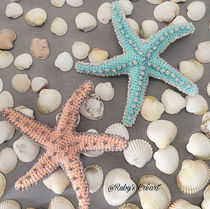 L'étoile de mer au crochet