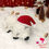 Miniature : Tutoriel au crochet Peluche Oslo l ours polaire