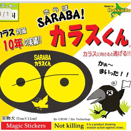 鳩は平和の象徴⁇