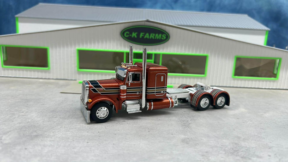 Custom Peterbilt (19)