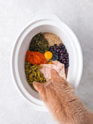 Crock Pot Cat and Dog Food