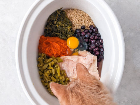Crock Pot Cat and Dog Food