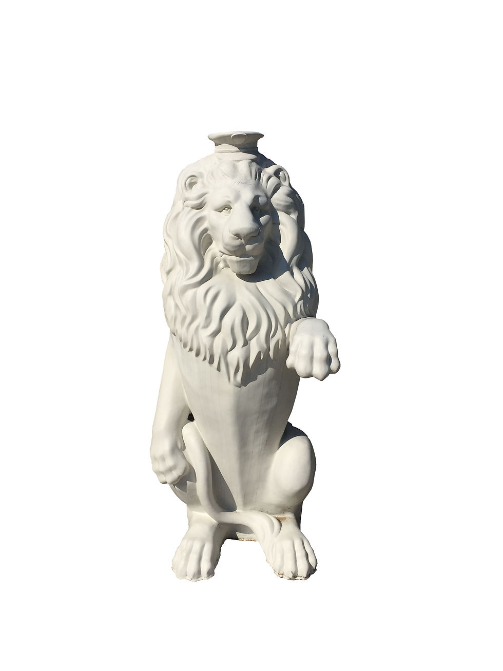 Lion assis