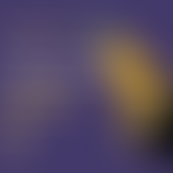 Inspiring Women Sales Leaders 