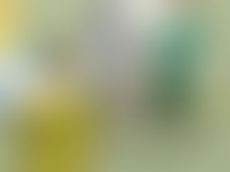 Camisetas Tradicionais