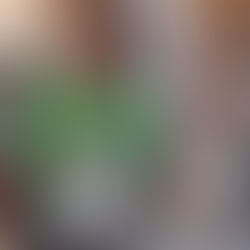 Tirage de la tombola !