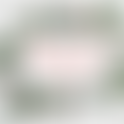 Joyeuses fêtes de fin d'année!