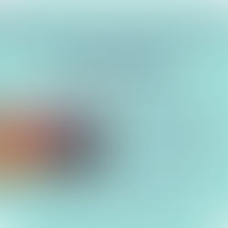 Atelier : Carnet Créatif