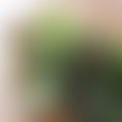 みどりの教室Vol.26　流木と多肉植物