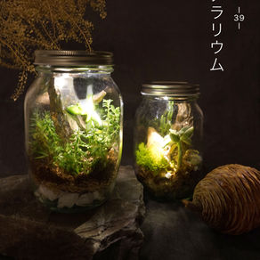みどりの教室vol.39　苔のテラリウム