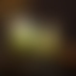 みどりの教室vol46 光のテラリウム