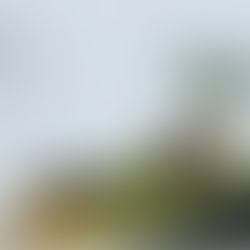 みどりの教室vol.27 青竹の器の 正月飾り