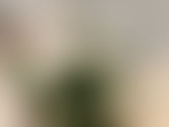 [3F rental space] ゆりさんのお細工たち展 