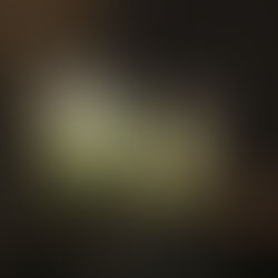 みどりの教室vol.37「光のテラリウム」