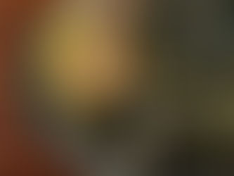 森のくすり箱 vol.22 / 12月のお知らせ